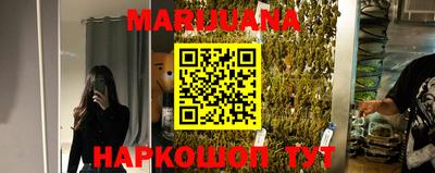 шишки Кинель