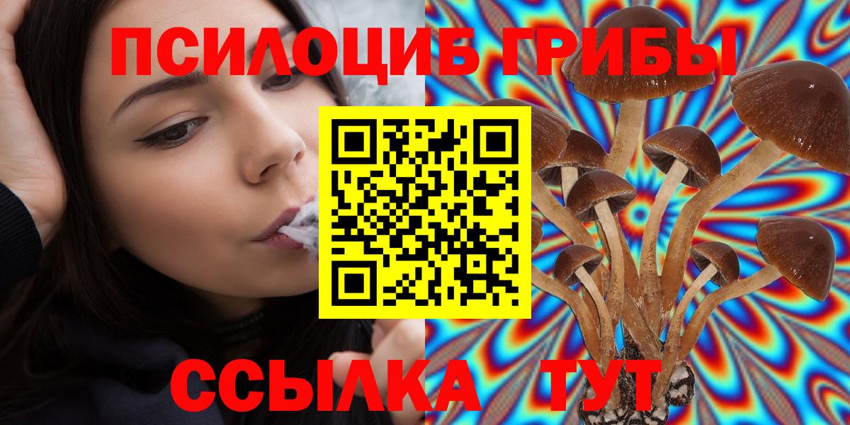 Галлюциногенные грибы Cubensis Кумертау